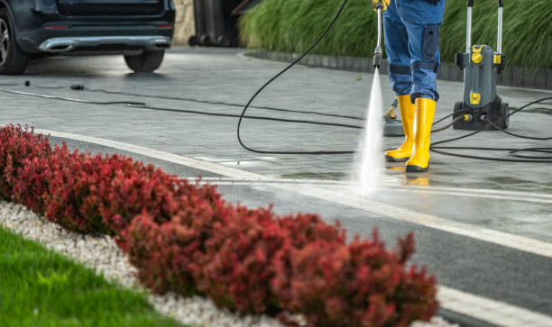 Best Animal Enclosure Cleaning  in Bayonne, NJ
